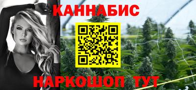 прущие крисы Моздок