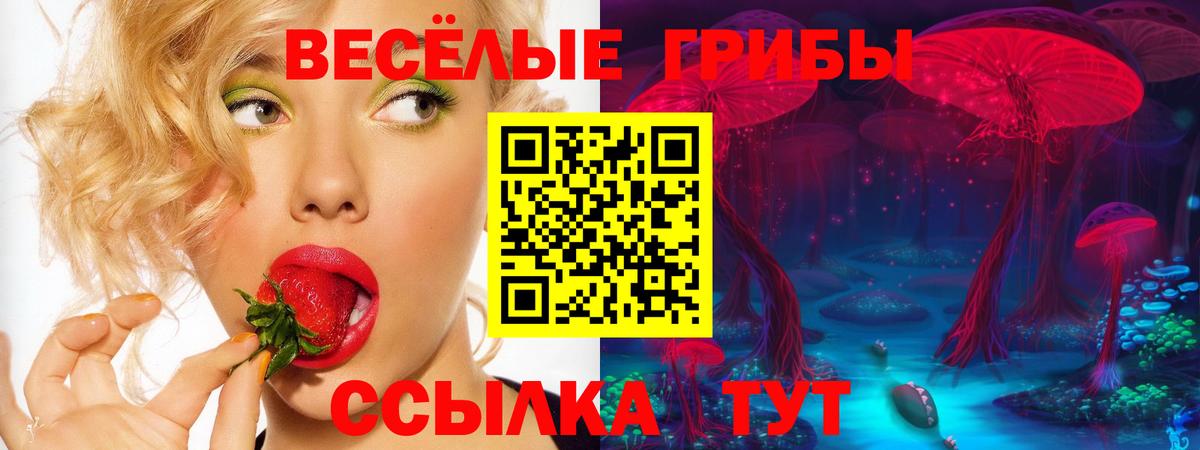 Псилоцибиновые грибы MAGIC MUSHROOMS Южно-Сахалинск